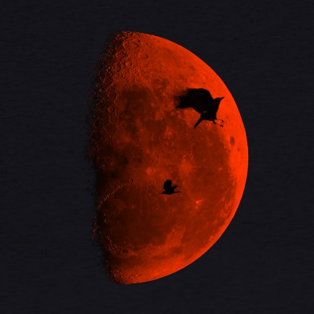 two crows and a red half moon by DyrkWyst